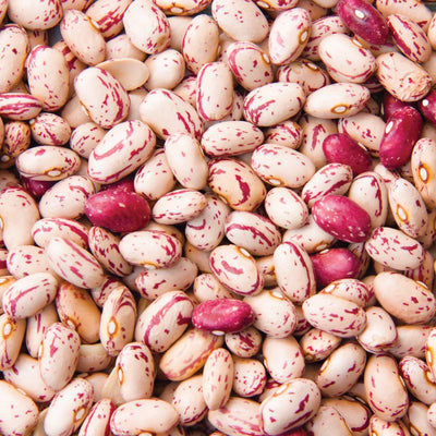 Borlotti Beans 1 Kg
