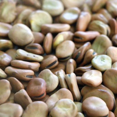 Broad Beans 1 Kg