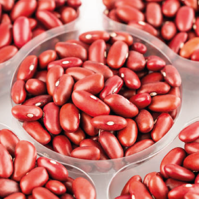 Light Kidney Beans 1 Kg